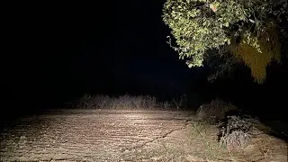 Escucharon gritos raros aquí