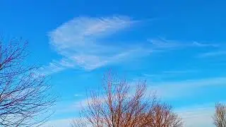 January Cold North Breeze #sky #winter #nature