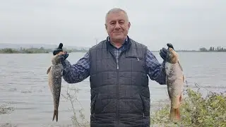Fish BBQ SECRETS Revealed in 10 Minutes!