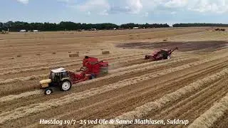 Høstdag 19/7-25 arrangeret af Rebild Veterantraktorklub ved Ole & Sanne Mathiasen, Suldrup