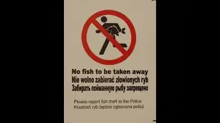 Nigel Farage is perfectly correct about swans and carp being eaten by Eastern Europeans in Britain