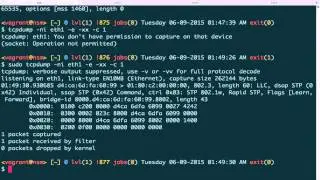 Tcpdump Advanced 1 (Link Layer)