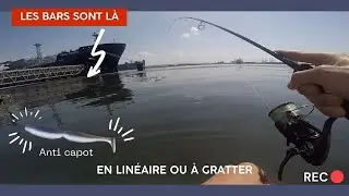 P&Ecirc;CHE du BAR en NORMANDIE au Super Spindle ! Un leurre anti capot !            ( p&ecirc;che du bord )
