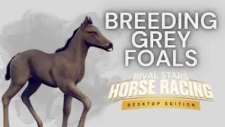 GREY DAYS *SPECIAL* ON RIVAL STARS HORSE RACING
