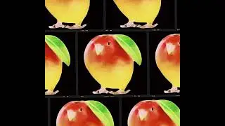 Mango bird