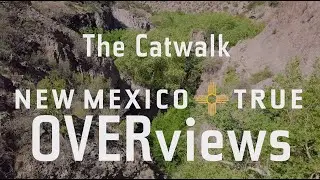 NM True OVERviews-The Catwalk