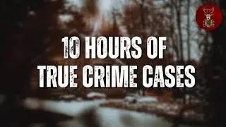 10 Hours of Twisted True Crime Cases | DARK CURIOSITIES