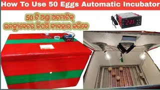 50 ଟି ଅଣ୍ଡା ଅଟମାଟିକ୍ ଇନକ୍ୟୁବେଟର କିପରି ବ୍ୟବହାର କରିବେ | How To Use 50 Eggs Automatic Incubator