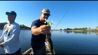 Brand New iCast Releases by 1st Gen Fishing