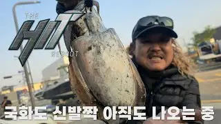 11월 중순에도 국화도 신발짝 갑오징어는 계속 나옵니다! 8물의 빠른 조류에 레저보트로 갑오징어 사냥!!