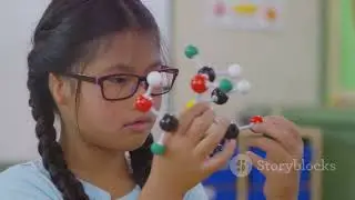 What is Polymer Chemistry  Explained!