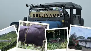 നെല്ലിയാമ്പതിയിലെ മിസ്റ്റി വാലി ഹെറിറ്റേജ് ബംഗ്ലാവും ഒരു ഓഫ്-റോഡ് Trucking 