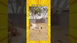 pooda *thalaka....... aiiyooo pochee..😁😂🤣🥴😵&zwj;💫😅😆👆👍🙏&hearts;️#trending #subscribe #support #shortvideo #funny