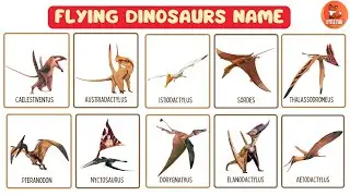 Flashcard - 50 Flying Dinosaurs Name in English for Toddlers #kidslearning #dinosaur  #dinosaurs