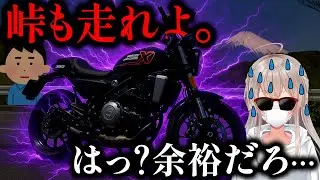 スポーツカーガチ勢がハーレーで峠を走った結果…【正直レビュー】【X350】