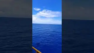 Merchant Navy Lifestyle #shorts #sea #blum#blue