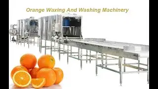Orange Waxing And Washing Machinery Orange Washing Machine Orange Waxing Machine