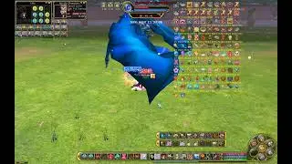 FlyFF Mocomochi - Rampage Colosseum run