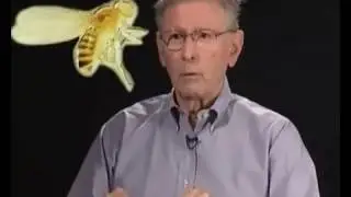 Genetica, Historia y futuro  Documental