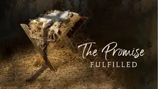 Joy in the Wilderness, Advent, 