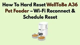 Как выполнить полный сброс настроек кормушки для животных WellToBe A36: переподключение к Wi-Fi и...