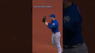 Chicago Cubs Win World Series..2025!!!