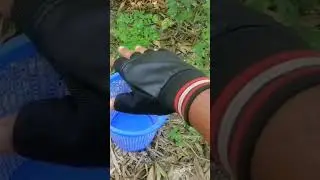 Collecting hand gloves 🧤 #shorts #toys #equipment #collection #military #army #safty #toysvideo