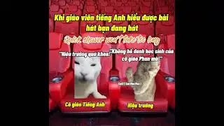 Khi gi&aacute;o vi&ecirc;n tiếng Anh hiểu được b&agrave;i h&aacute;t bạn đang h&aacute;t #cat #meme #catmemes