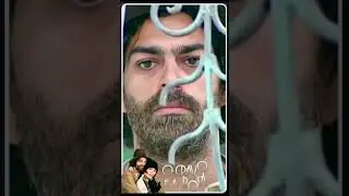 Catarina perde a paci&ecirc;ncia com o Petruchio, e ele a elogia