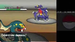 Pokemon black 1 - Cynthia super boss battle / No items / No trade pokemon in battle