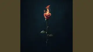 Dark Singularity