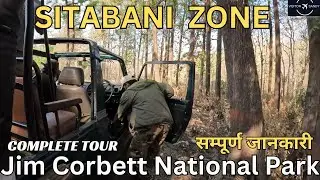 Don't Visit Jim Corbett's Sitabani Zone Until You Know This!