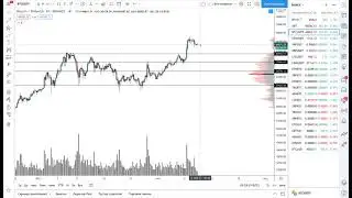 Bitcoin 11.02.2021 Crypto Market Cap, Bitcoin Domination