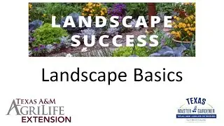 Landscape Basics (02.28.2025)