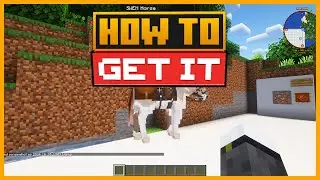 🟨 КАК ТРЕНИРОВАТЬ свою ЛОШАДЬ SWEM в моде STAR WORM EQUESTRIAN