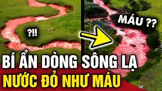 The mysterious BLOOD RED river in Peru, among the top places to VISIT ONCE IN A LIFE | 3 Minute News