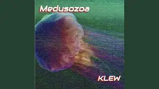 Medusozoa