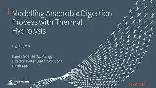 Modelling the Thermal Hydrolysis Process in GPS-X
