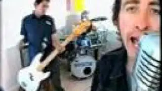 The Daisycutters  -  sick day