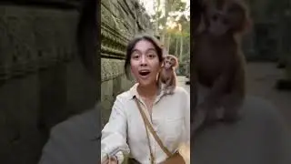Creator Gone Wild - Monkey Temple Edition #funny #funnyvideo #shorts #shortvideo #extreme #fail #fun