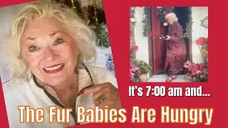 Over 60 / Up Early / Feeding the Felines / and Sharing  Old Ornaments / Vlogmas Day 5
