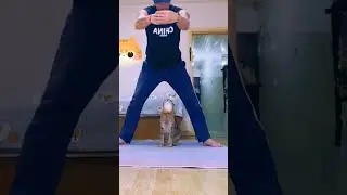 Fantastic Cat Jump    #shorts