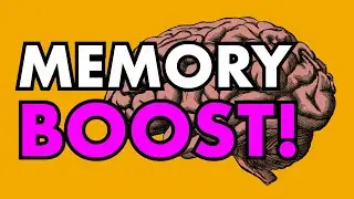 10 Proven Techniques to Boost Your Memory