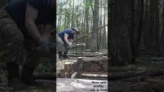 I BUILD A BEAR-RESISTANT SHELTER. #bushcraft #dugout #shelter #wildlife #dugoutshelter
