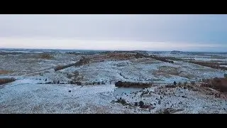 Ageless | Music Video