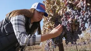 Investigating the Soils of Idaho&rsquo;s Ripening Wine Scene