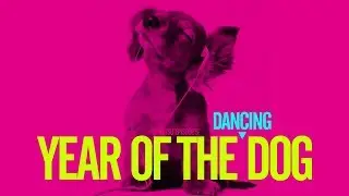 YEAR OF THE DANCING DOG (Ultimate Dancing Dog Compilation) [2018]