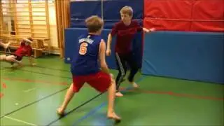 Capoeira på idrotten