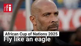 Nigeria's coach Eric Chelle &bull; RFI English