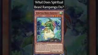 What Does Spiritual Beast Rampengu Do? (Yugioh Cards Explained for Easy Deck Building)